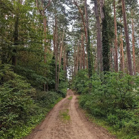 アパート Tiny House Franz In Der An Der Ostsee