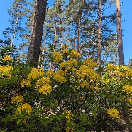 Tiny House Franz In Der An Der Ostsee *