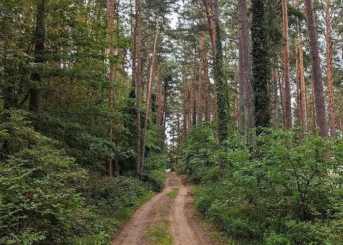아파트 Tiny House Franz In Der An Der Ostsee