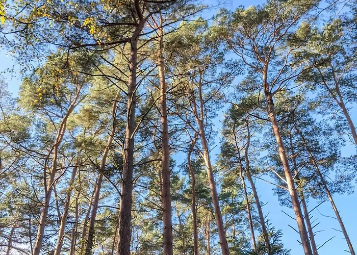 Tiny House Franz In Der An Der Ostsee 루브민