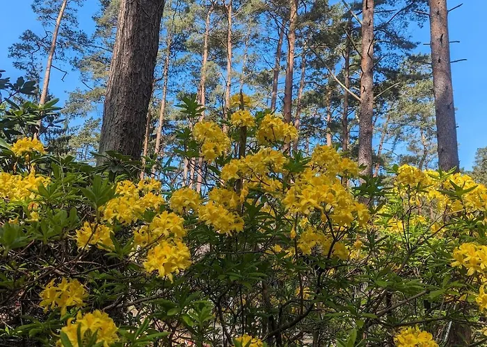 Tiny House Franz In Der An Der Ostsee *